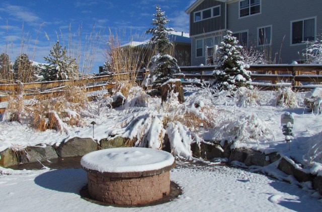 Colorado Spring Snow 2