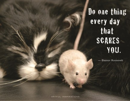 The Benefits of BOO!