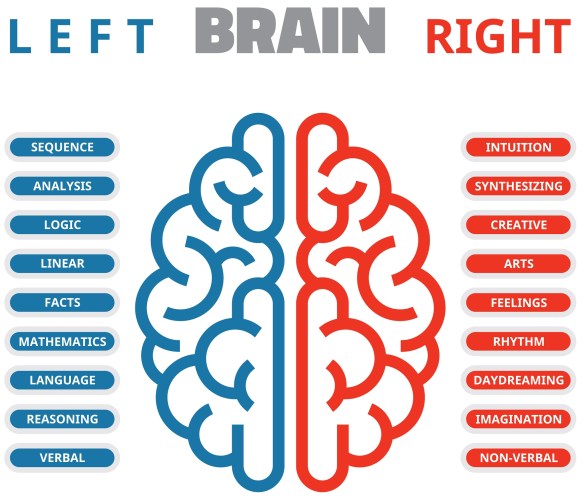 Are You Leading with Your Entire Brain?