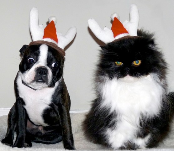 Top 10 Ways to Sidestep Holiday Stress