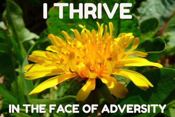 I Thrive in the Face of Adversity