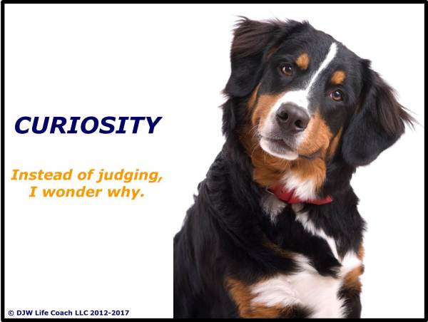 CURIOSITY: Instead of judging, I wonder why.