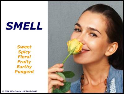 Sense of smell is the mind-body interface