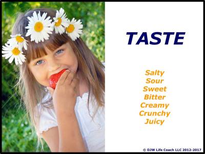 Our sense of taste adds zing to our days!
