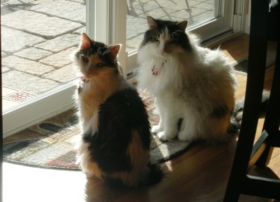 I appreciate every moment with my loved ones